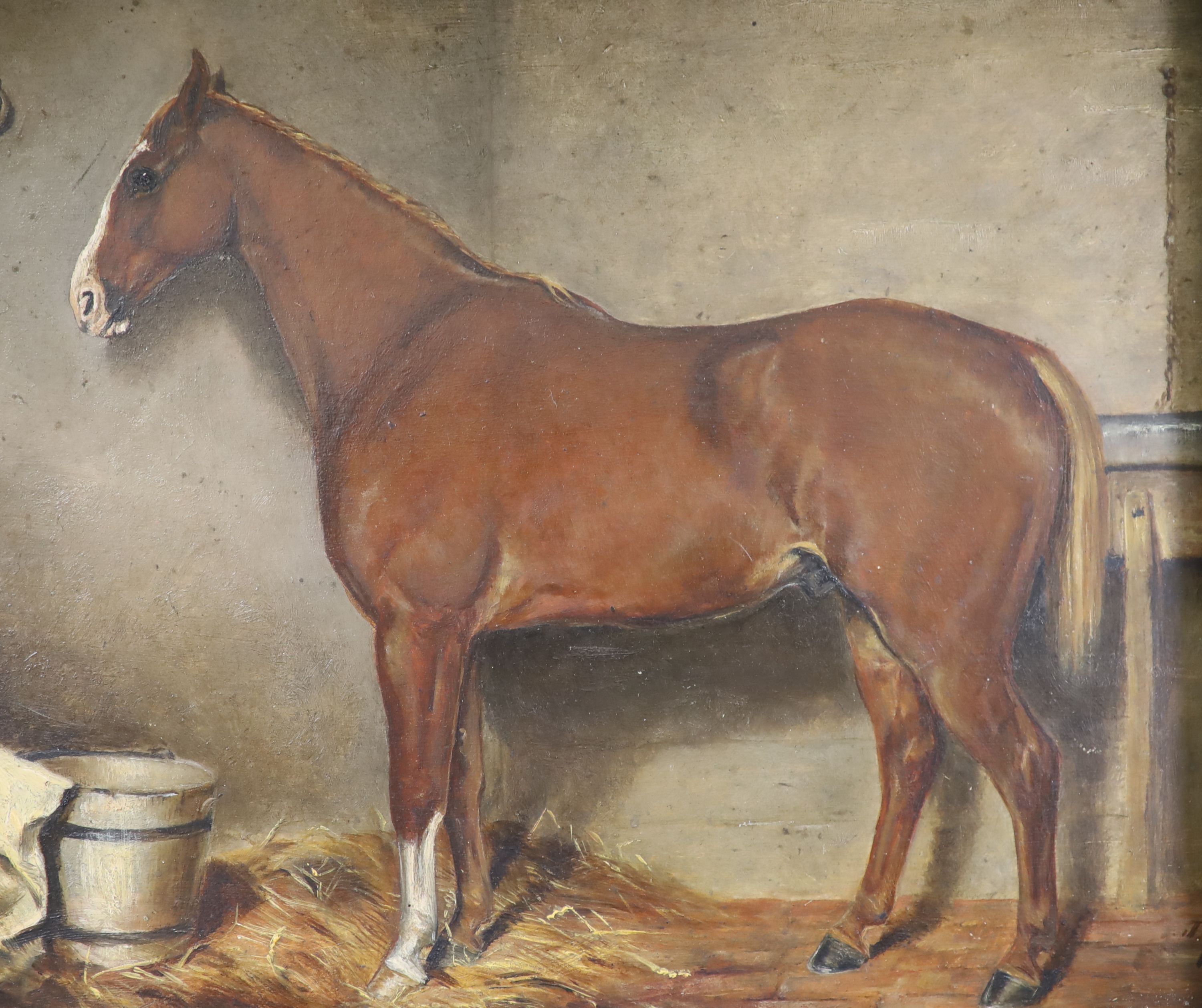 J. Danson (19thC), oil on board, Study of a horse in a stable, signed and dated 1881, 18 x 22cm